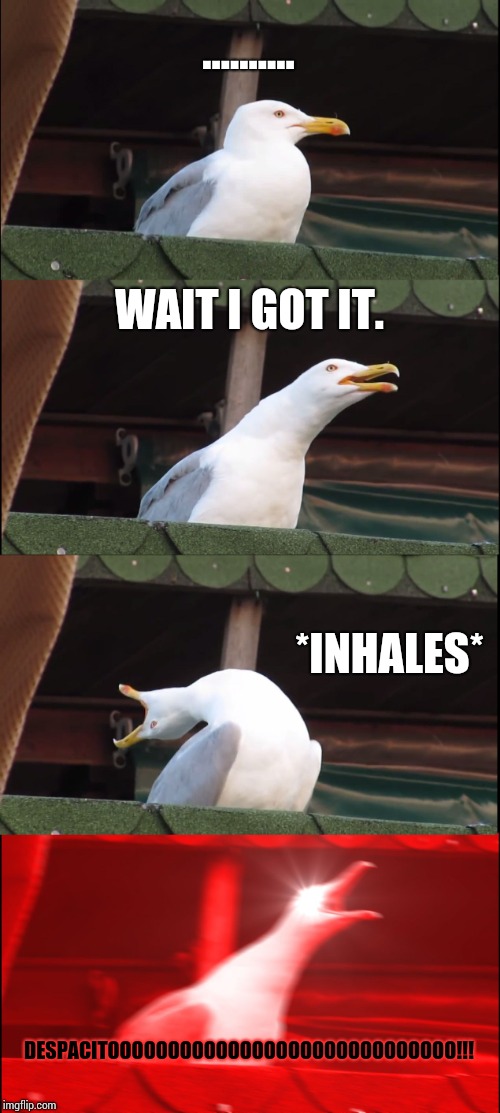 Inhaling Seagull Meme | .......... WAIT I GOT IT. *INHALES*; DESPACITOOOOOOOOOOOOOOOOOOOOOOOOOOOOO!!! | image tagged in memes,inhaling seagull | made w/ Imgflip meme maker