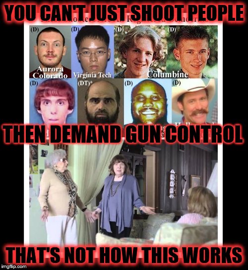 YOU CAN'T JUST SHOOT PEOPLE; THEN DEMAND GUN CONTROL; THAT'S NOT HOW THIS WORKS | image tagged in gun control,liberal hypocrisy,2nd amendment,triggered liberal,angry liberal | made w/ Imgflip meme maker