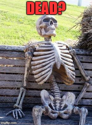 Waiting Skeleton Meme | DEAD? | image tagged in memes,waiting skeleton | made w/ Imgflip meme maker