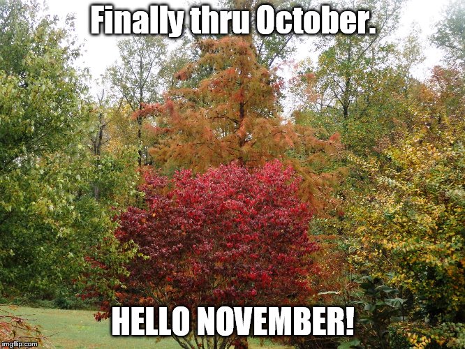 november | Finally thru October. HELLO NOVEMBER! | image tagged in november | made w/ Imgflip meme maker