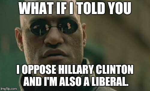 Matrix Morpheus Meme | WHAT IF I TOLD YOU I OPPOSE HILLARY CLINTON AND I'M ALSO A LIBERAL. | image tagged in memes,matrix morpheus | made w/ Imgflip meme maker