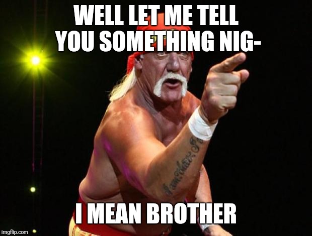 Hulk Hogan | WELL LET ME TELL YOU SOMETHING NIG-; I MEAN BROTHER | image tagged in hulk hogan | made w/ Imgflip meme maker