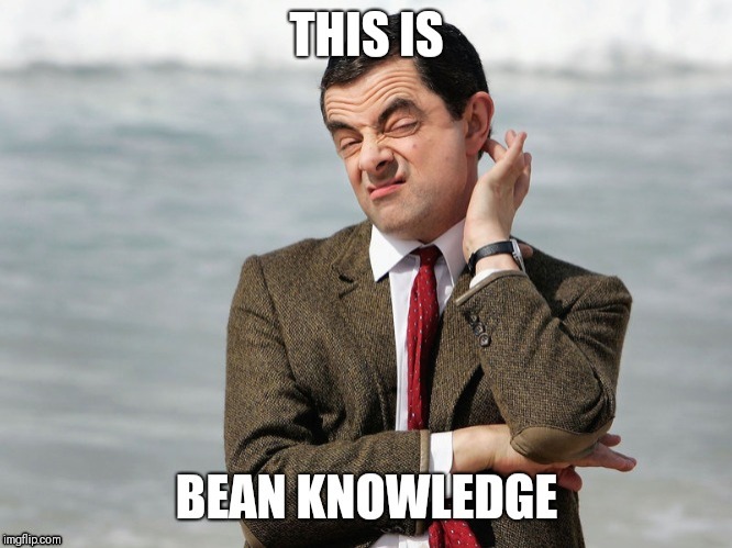 When you know something that other people don't.. | image tagged in mr bean,random,obviously | made w/ Imgflip meme maker