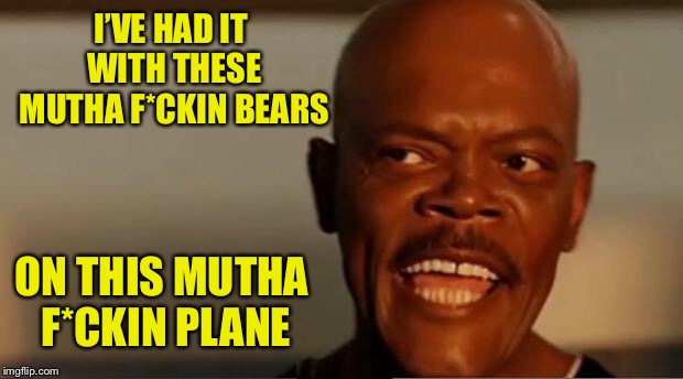 Snakes on the Plane Samuel L Jackson | I’VE HAD IT WITH THESE MUTHA F*CKIN BEARS ON THIS MUTHA F*CKIN PLANE | image tagged in snakes on the plane samuel l jackson | made w/ Imgflip meme maker