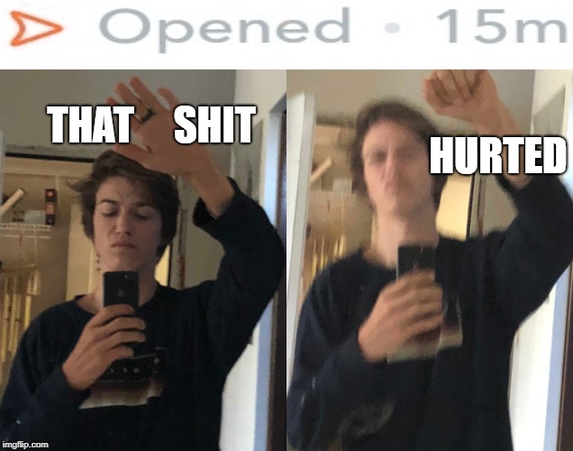 That shit HURTED | THAT     SHIT; HURTED | image tagged in unoriginal,recreation,relateable,sad,leftonread,thatshithurted | made w/ Imgflip meme maker