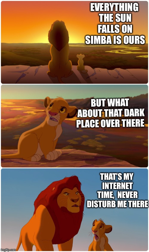 Lion King Meme | EVERYTHING THE SUN FALLS ON SIMBA IS OURS BUT WHAT ABOUT THAT DARK PLACE OVER THERE THAT’S MY INTERNET TIME,  NEVER DISTURB ME THERE | image tagged in lion king meme | made w/ Imgflip meme maker