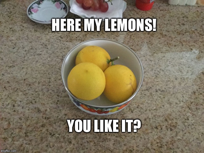HERE MY LEMONS! YOU LIKE IT? | image tagged in here my x | made w/ Imgflip meme maker