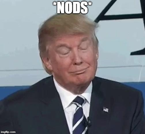 Trump Nod | *NODS* | image tagged in trump nod | made w/ Imgflip meme maker