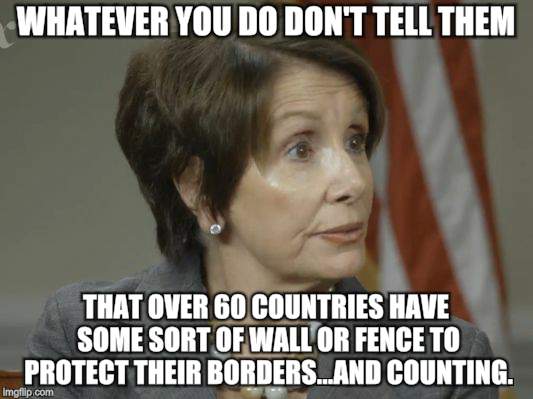 They're stupid...ssshh | WHATEVER YOU DO DON'T TELL THEM; THAT OVER 60 COUNTRIES HAVE SOME SORT OF WALL OR FENCE TO PROTECT THEIR BORDERS...AND COUNTING. | image tagged in memes,politics,wall,illegal immigration,nancy pelosi | made w/ Imgflip meme maker