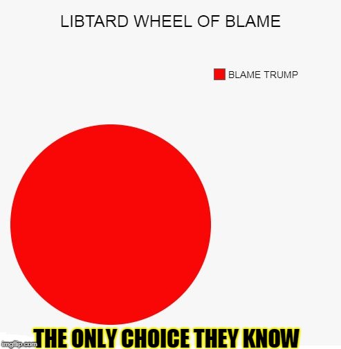 Libtard Wheel of Blame | THE ONLY CHOICE THEY KNOW | image tagged in libtard wheel of blame,funny,memes,funny memes,politics | made w/ Imgflip meme maker