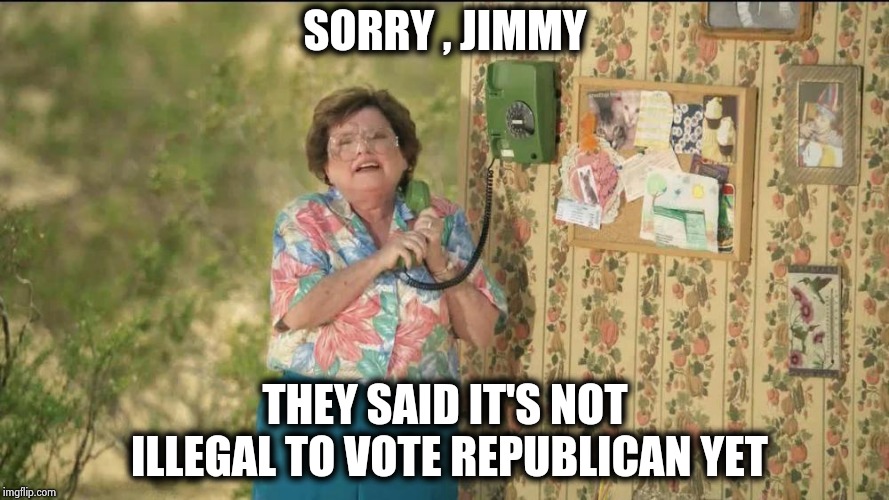 "If you let them do it to you you've got yourself to blame" - Pete Townshend | SORRY , JIMMY; THEY SAID IT'S NOT ILLEGAL TO VOTE REPUBLICAN YET | image tagged in state farm old lady on the phone,free speech,danger,equal rights | made w/ Imgflip meme maker