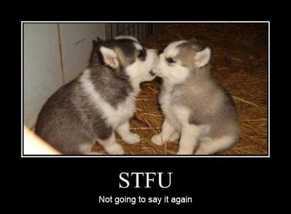 image tagged in demotivationals