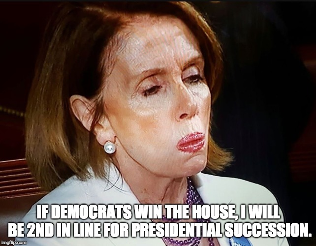 Nancy Pelosi PB Sandwich | IF DEMOCRATS WIN THE HOUSE, I WILL BE 2ND IN LINE FOR PRESIDENTIAL SUCCESSION. | image tagged in nancy pelosi pb sandwich | made w/ Imgflip meme maker