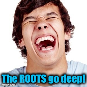 lol | The ROOTS go deep! | image tagged in lol | made w/ Imgflip meme maker