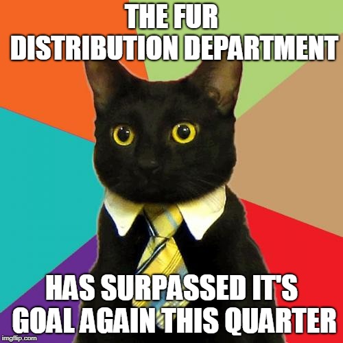 Business Cat Meme | THE FUR DISTRIBUTION DEPARTMENT; HAS SURPASSED IT'S GOAL AGAIN THIS QUARTER | image tagged in memes,business cat | made w/ Imgflip meme maker