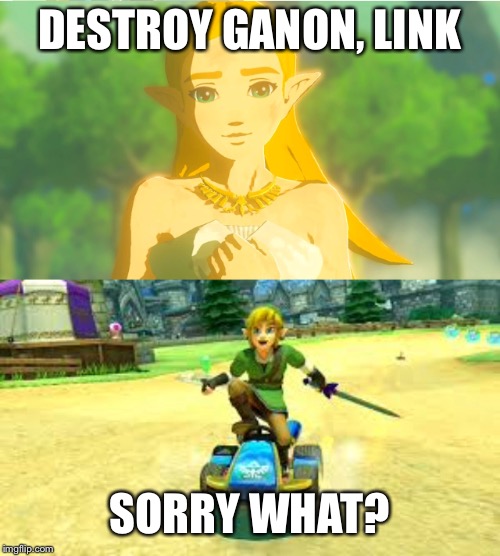 10 Most Hilarious Memes About People Mistaking Link For Zelda