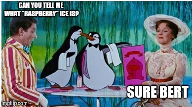 Let's see, what would be nice? We'll start with raspberry ice, and then some cakes and tea. | CAN YOU TELL ME WHAT "RASPBERRY" ICE IS? SURE BERT | image tagged in memes | made w/ Imgflip meme maker