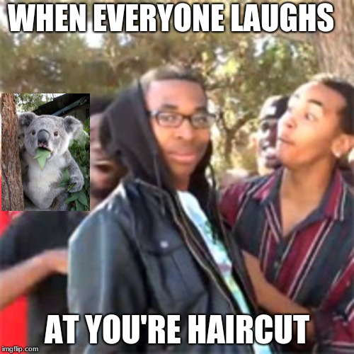 black boy roast | WHEN EVERYONE LAUGHS; AT YOU'RE HAIRCUT | image tagged in black boy roast | made w/ Imgflip meme maker