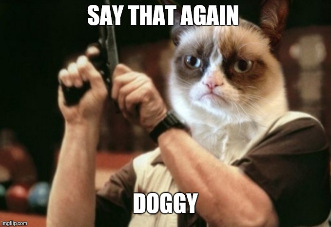 Grumpy cat | SAY THAT AGAIN DOGGY | image tagged in grumpy cat | made w/ Imgflip meme maker