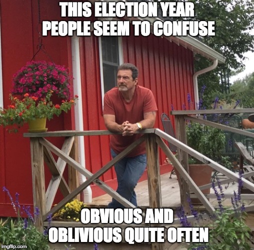 Pondering |  THIS ELECTION YEAR PEOPLE SEEM TO CONFUSE; OBVIOUS AND OBLIVIOUS QUITE OFTEN | image tagged in pondering | made w/ Imgflip meme maker