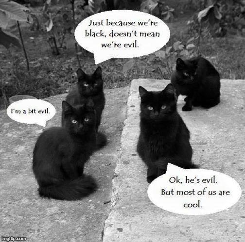 1 EVIL BLACK CATS AND 3 COOL CATS | image tagged in the rock driving evil cat | made w/ Imgflip meme maker