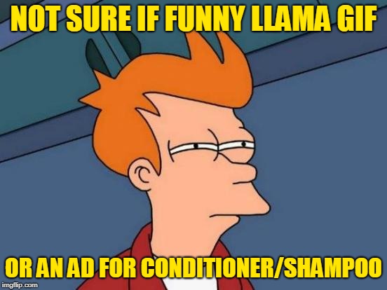Futurama Fry Meme | NOT SURE IF FUNNY LLAMA GIF OR AN AD FOR CONDITIONER/SHAMPOO | image tagged in memes,futurama fry | made w/ Imgflip meme maker