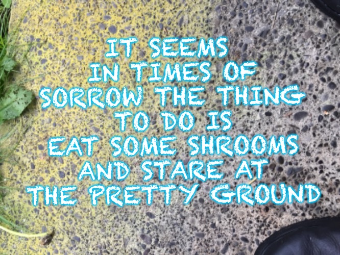 IT SEEMS IN TIMES OF SORROW THE THING TO DO IS EAT SOME SHROOMS AND STARE AT THE PRETTY GROUND | image tagged in drugs | made w/ Imgflip meme maker
