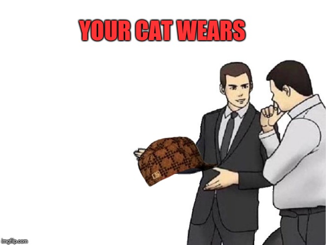 Car Salesman Slaps Hood Meme | YOUR CAT WEARS | image tagged in memes,car salesman slaps hood,scumbag | made w/ Imgflip meme maker