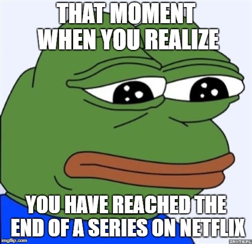 sad frog | THAT MOMENT WHEN YOU REALIZE; YOU HAVE REACHED THE END OF A SERIES ON NETFLIX | image tagged in sad frog | made w/ Imgflip meme maker