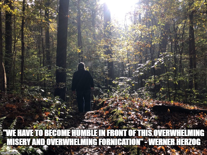 Thoughts on a Woodland Trail | "WE HAVE TO BECOME HUMBLE IN FRONT OF THIS OVERWHELMING MISERY AND OVERWHELMING FORNICATION"
- WERNER HERZOG | image tagged in meditation,inspirational quote | made w/ Imgflip meme maker