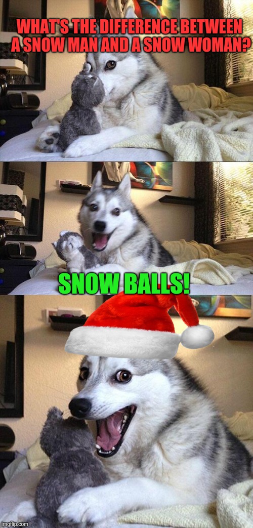 Too soon? | WHAT'S THE DIFFERENCE BETWEEN A SNOW MAN AND A SNOW WOMAN? SNOW BALLS! | image tagged in memes,bad pun dog,christmas,funny memes,funny meme,snowman | made w/ Imgflip meme maker