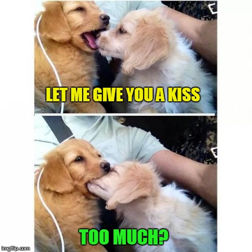 slobber kiss | LET ME GIVE YOU A KISS TOO MUCH? | image tagged in slobber kiss | made w/ Imgflip meme maker