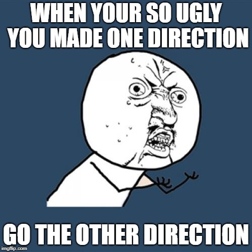 Y U No Meme | WHEN YOUR SO UGLY YOU MADE ONE DIRECTION; GO THE OTHER DIRECTION | image tagged in memes,y u no | made w/ Imgflip meme maker
