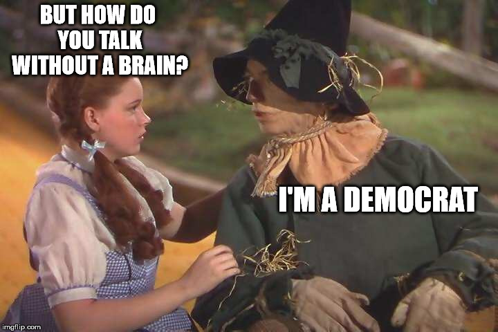 BUT HOW DO YOU TALK WITHOUT A BRAIN? I'M A DEMOCRAT | image tagged in dorothy and scarecrow | made w/ Imgflip meme maker