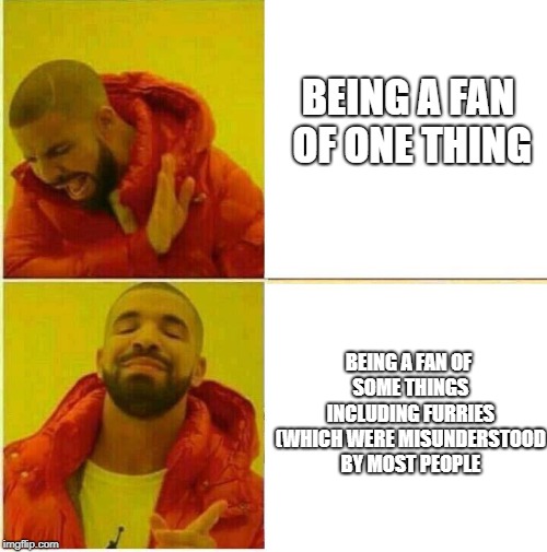 Nah yeah | BEING A FAN OF ONE THING; BEING A FAN OF SOME THINGS INCLUDING FURRIES (WHICH WERE MISUNDERSTOOD BY MOST PEOPLE | image tagged in nah yeah | made w/ Imgflip meme maker