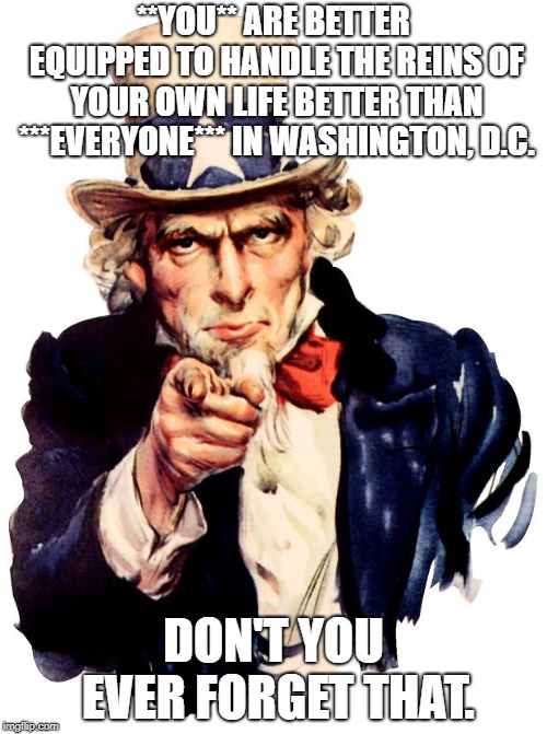 I WANT YOU | **YOU** ARE BETTER EQUIPPED TO HANDLE THE REINS OF YOUR OWN LIFE BETTER THAN ***EVERYONE*** IN WASHINGTON, D.C. DON'T YOU EVER FORGET THAT. | image tagged in i want you | made w/ Imgflip meme maker