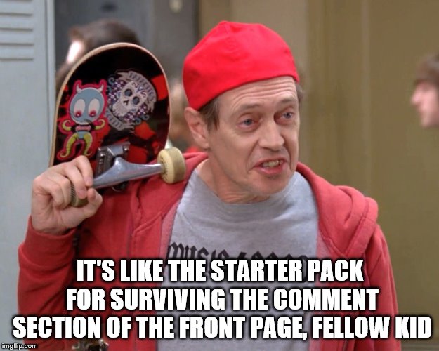 Steve Buscemi Fellow Kids | IT'S LIKE THE STARTER PACK FOR SURVIVING THE COMMENT SECTION OF THE FRONT PAGE, FELLOW KID | image tagged in steve buscemi fellow kids | made w/ Imgflip meme maker