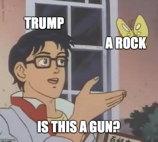 Is This A Pigeon | TRUMP; A ROCK; IS THIS A GUN? | image tagged in memes,is this a pigeon,donald trump,immigration,caravan,guns | made w/ Imgflip meme maker