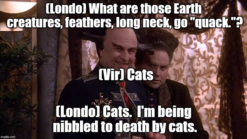 Nibbled to death | (Londo) What are those Earth creatures, feathers, long neck, go "quack."? (Vir) Cats; (Londo) Cats.  I'm being nibbled to death by cats. | image tagged in babylon 5,cats | made w/ Imgflip meme maker