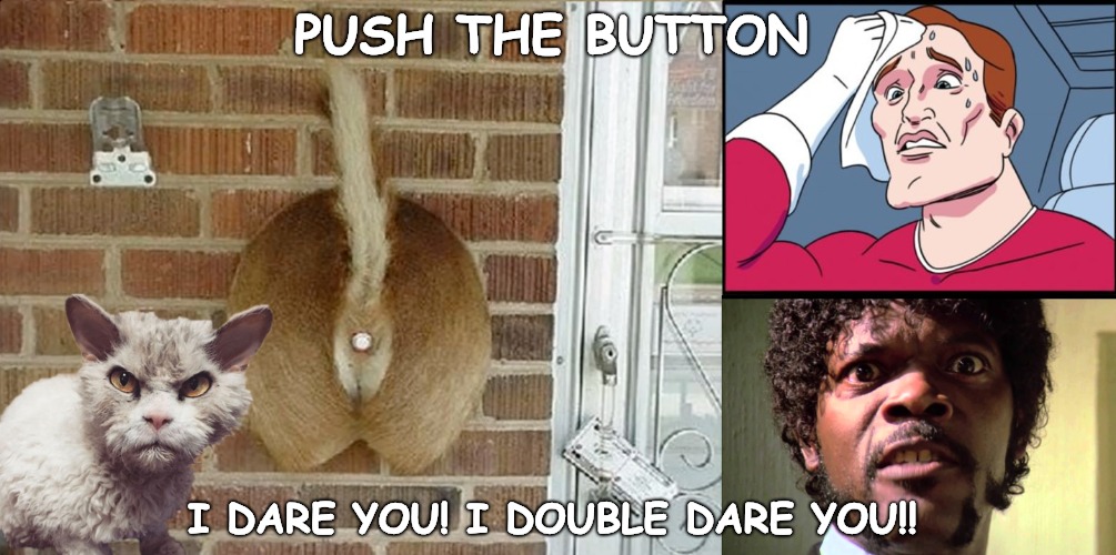 Grumpy Cat Door Push | PUSH THE BUTTON; I DARE YOU! I DOUBLE DARE YOU!! | image tagged in grumpy cat,push the button,i dare you | made w/ Imgflip meme maker