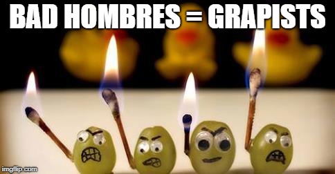 angry grapes | BAD HOMBRES = GRAPISTS | image tagged in angry grapes | made w/ Imgflip meme maker