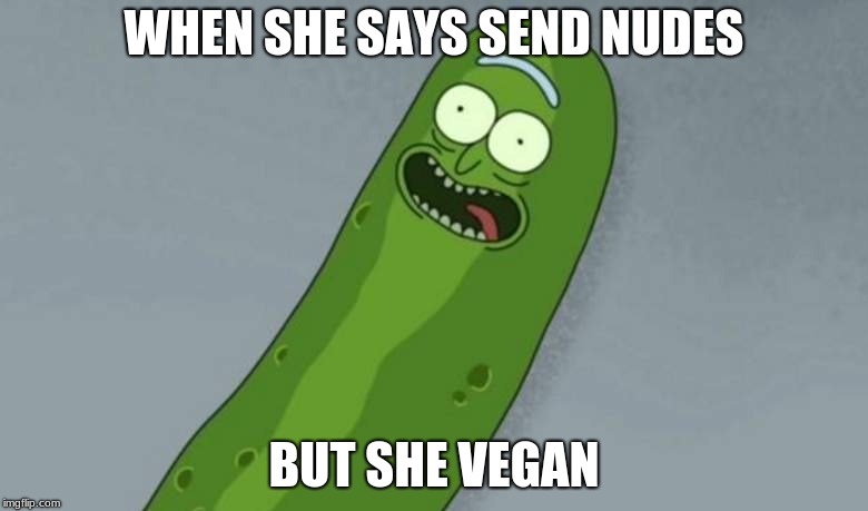 Pickle rick | WHEN SHE SAYS SEND NUDES; BUT SHE VEGAN | image tagged in pickle rick | made w/ Imgflip meme maker