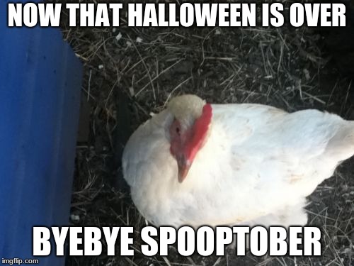 Angry Chicken Boss | NOW THAT HALLOWEEN IS OVER; BYEBYE SPOOPTOBER | image tagged in memes,angry chicken boss | made w/ Imgflip meme maker