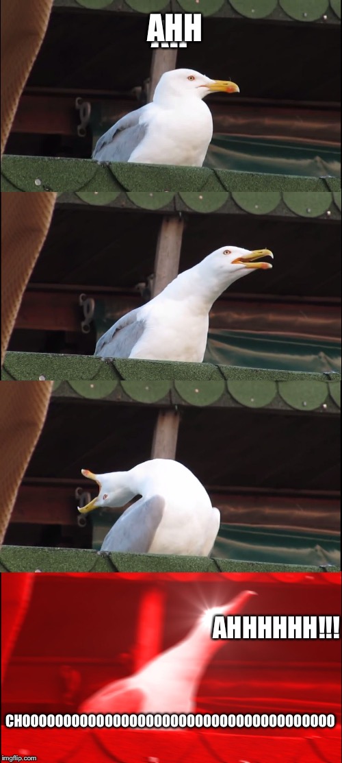 Inhaling Seagull Meme | AHH; AH; AHHHHHH!!! CHOOOOOOOOOOOOOOOOOOOOOOOOOOOOOOOOOOOOOO | image tagged in memes,inhaling seagull | made w/ Imgflip meme maker