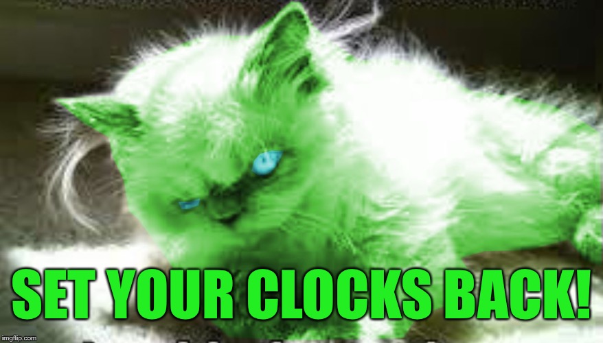 mad raycat | SET YOUR CLOCKS BACK! | image tagged in mad raycat | made w/ Imgflip meme maker