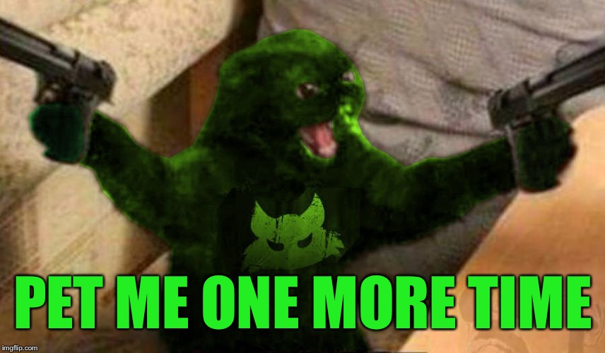 RayCat Angry | PET ME ONE MORE TIME | image tagged in raycat angry | made w/ Imgflip meme maker