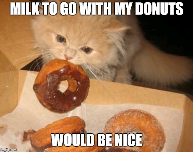 MILK TO GO WITH MY DONUTS WOULD BE NICE | made w/ Imgflip meme maker