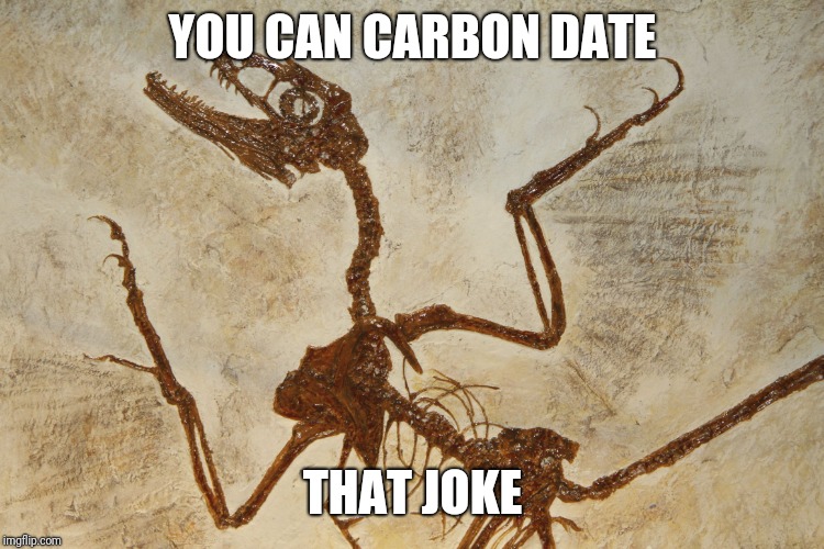 What N' Fossilization | YOU CAN CARBON DATE THAT JOKE | image tagged in what n' fossilization | made w/ Imgflip meme maker