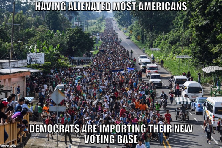 Democrat Voting Base | image tagged in politics,illegal immigration | made w/ Imgflip meme maker