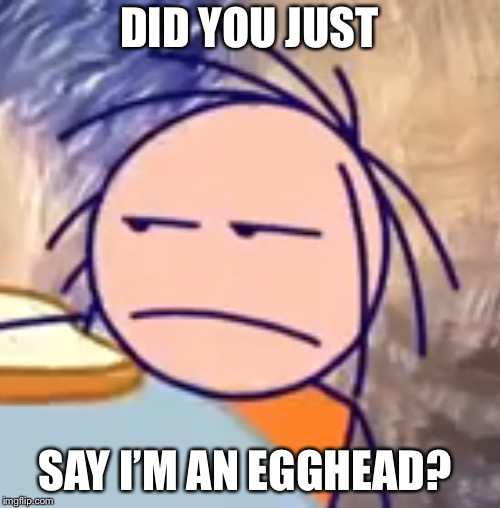 DID YOU JUST; SAY I’M AN EGGHEAD? | image tagged in stacy stickler did you just | made w/ Imgflip meme maker